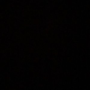 Meet your Posher, Tynesha